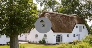 TV2 Frihuset om Får og Lam