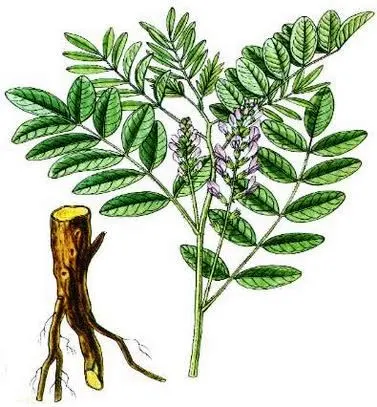 Lækre lakridskugler